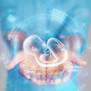 Marie Manga Fertility Support Supplement